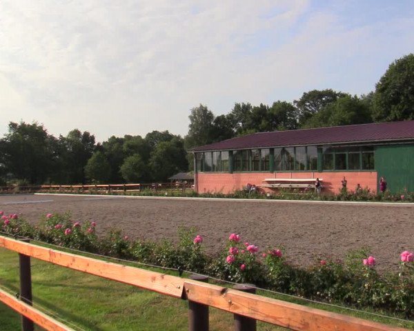 Reitturnier Schwanewede  2022