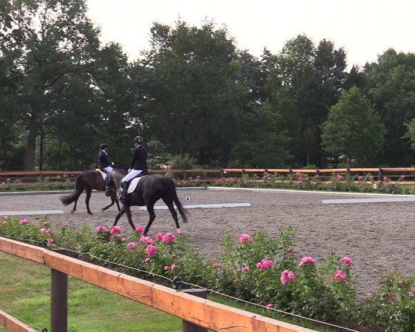 Reitturnier Schwanewede 2022