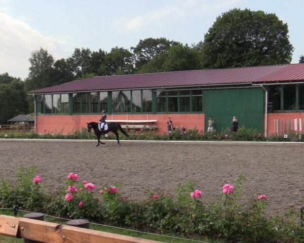 Reitturnier Schwanewede  2022