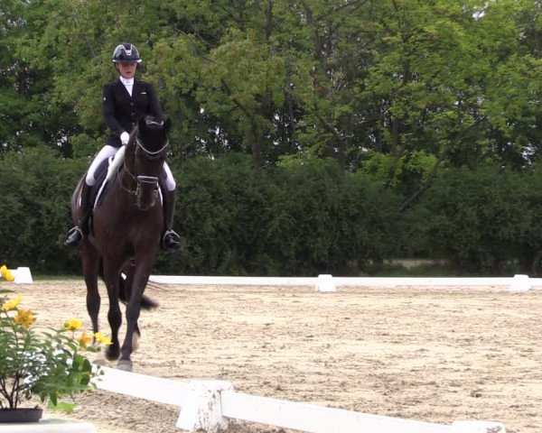 Reitturnier Baschütz bei Bautzen 2022