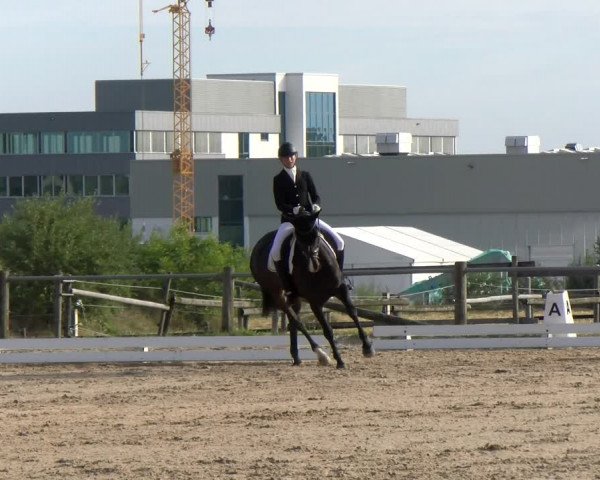 Reitturnier Biberach/Riß 2022