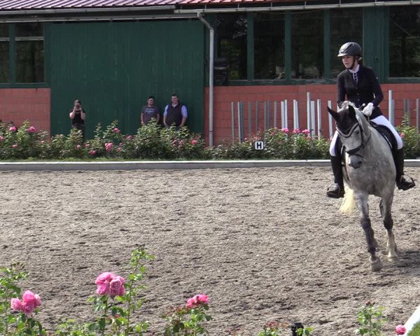 Reitturnier Schwanewede  2022