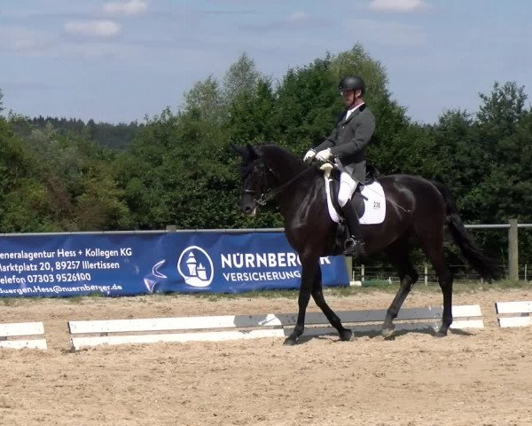 Reitturnier Biberach/Riß 2022