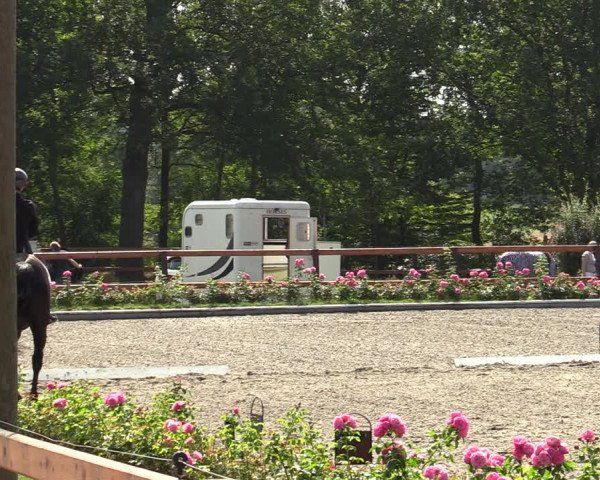 Reitturnier Schwanewede  2022