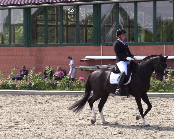 Reitturnier Schwanewede 2022