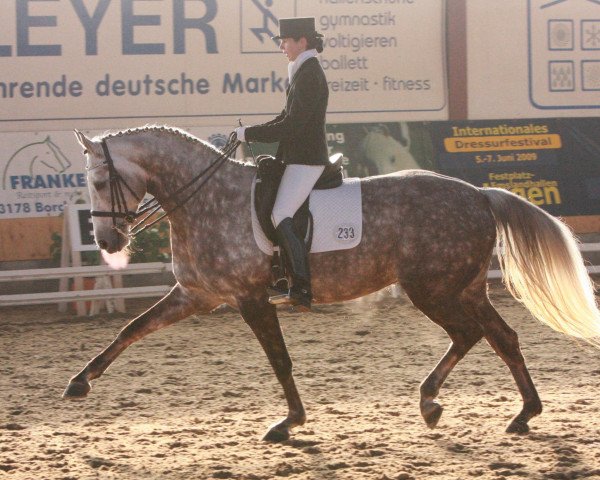 broodmare Race (Westphalian, 2002, from Royal Diamond)