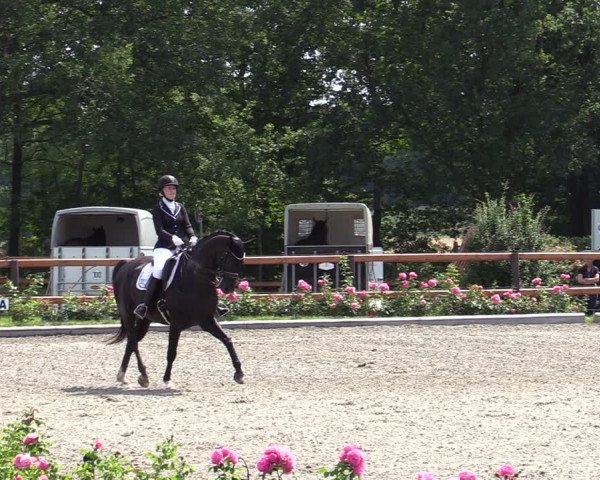 Reitturnier Schwanewede  2022