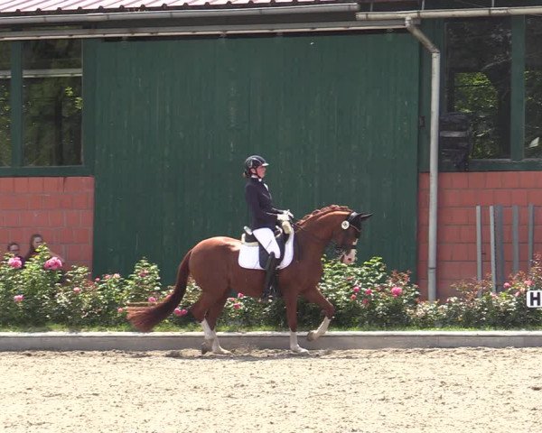 Reitturnier Schwanewede  2022