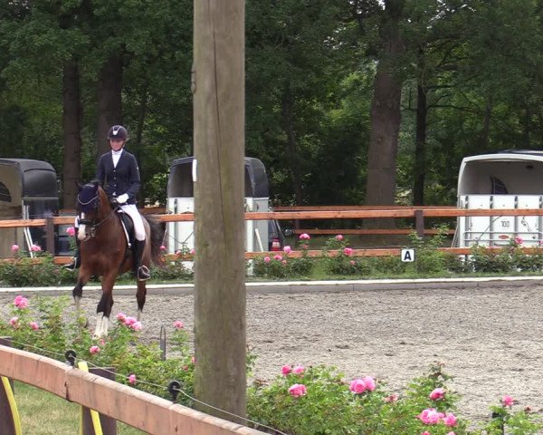 Reitturnier Schwanewede  2022