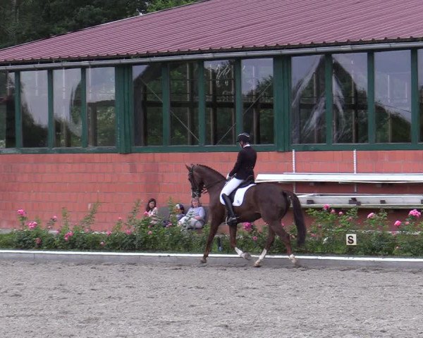 Reitturnier Schwanewede  2022