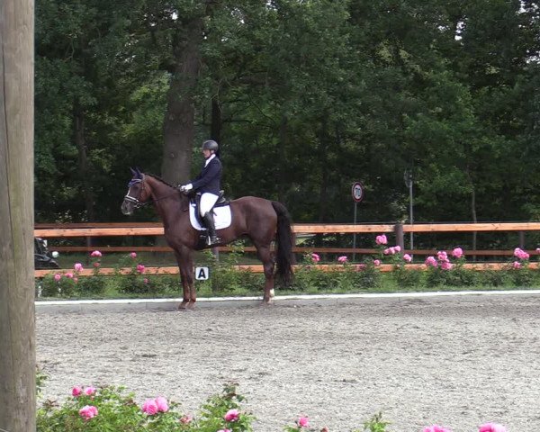 Reitturnier Schwanewede  2022