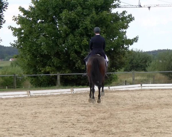 Reitturnier Biberach/Riß 2022