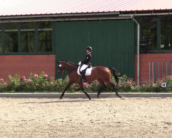 Reitturnier Schwanewede  2022