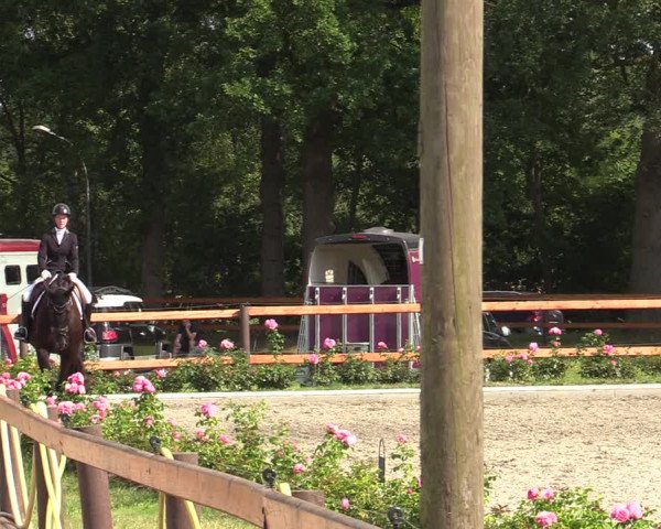 Reitturnier Schwanewede  2022