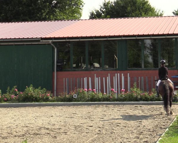 Reitturnier Schwanewede  2022