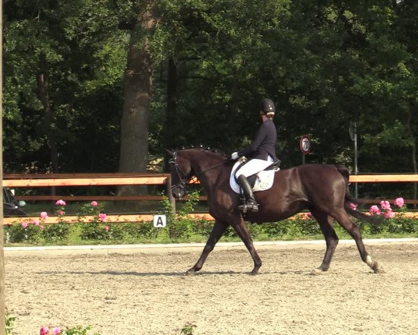 Reitturnier Schwanewede  2022