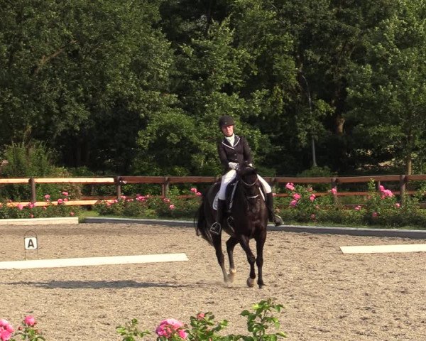 Reitturnier Schwanewede  2022