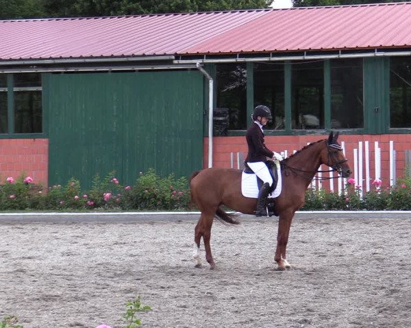 Reitturnier Schwanewede  2022