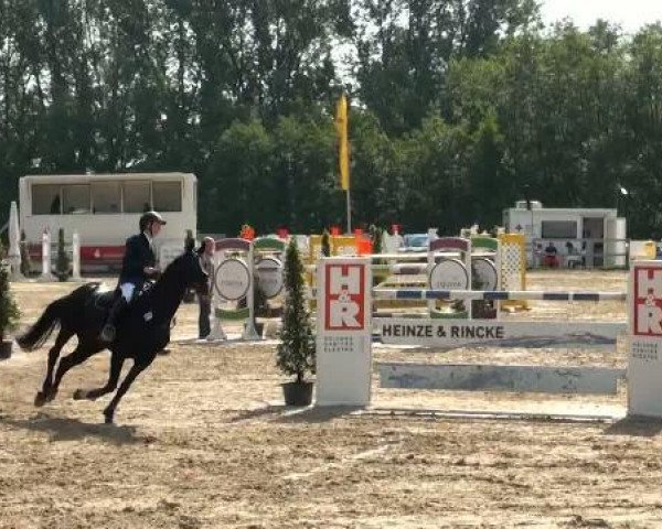 broodmare Poesie (Westphalian, 2000, from Palegro)