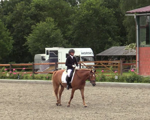 Reitturnier Schwanewede  2022