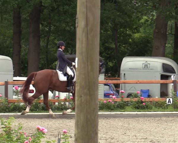 Reitturnier Schwanewede  2022
