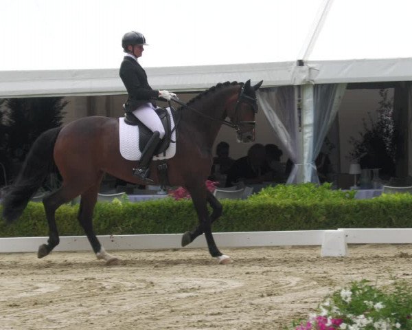 Reitturnier Neu-Anspach 2022