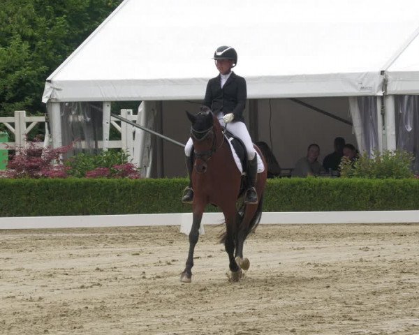 Reitturnier Neu-Anspach 2022