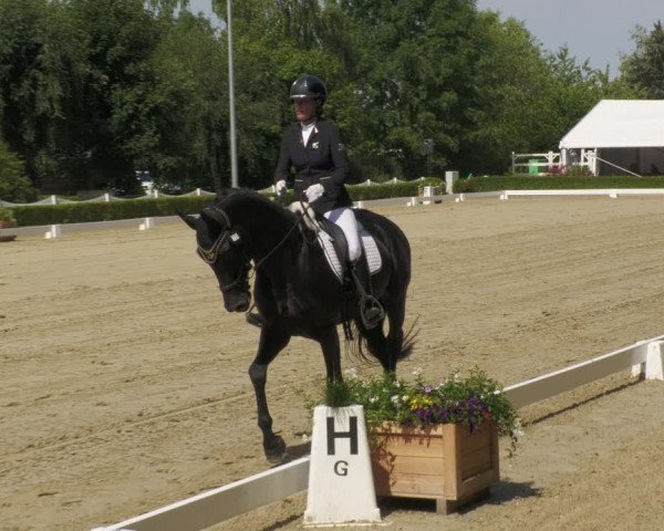 Reitturnier Neu-Anspach 2022