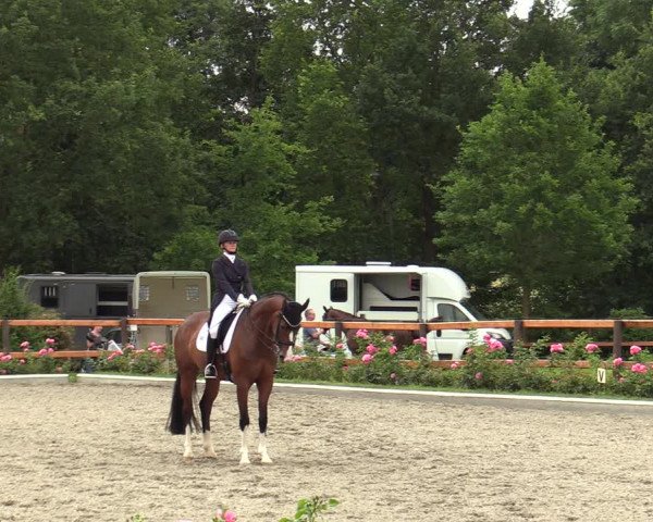 Reitturnier Schwanewede  2022