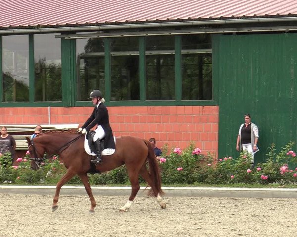 Reitturnier Schwanewede  2022