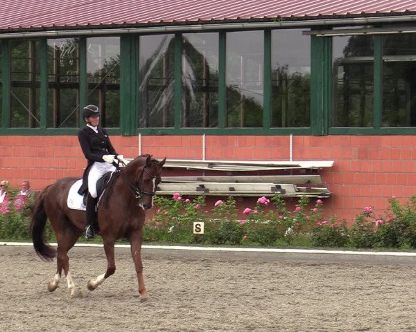 Reitturnier Schwanewede  2022