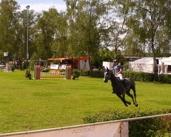 Reitturnier Etingen 2022