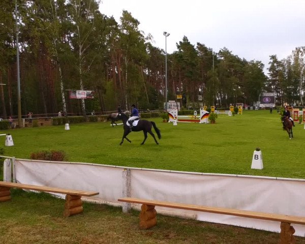 Reitturnier Etingen 2022