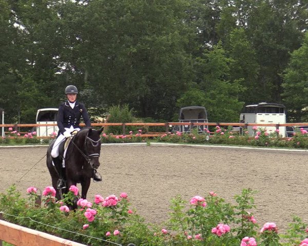 Reitturnier Schwanewede  2022