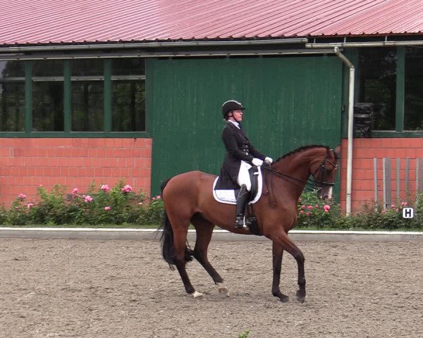 Reitturnier Schwanewede  2022