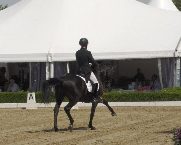 Reitturnier Neu-Anspach 2022