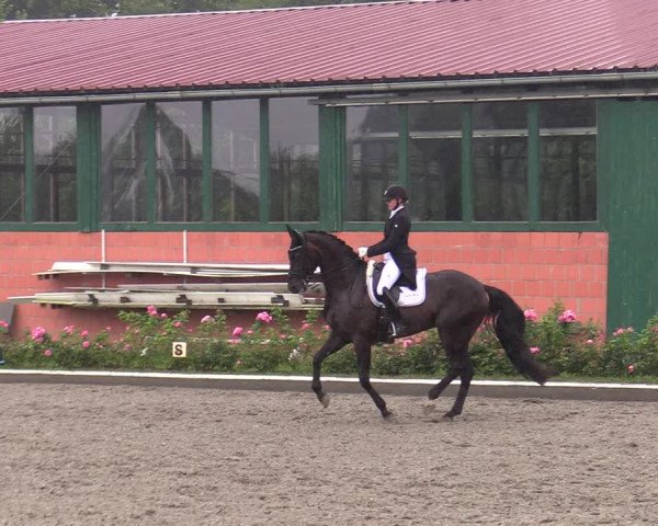 Reitturnier Schwanewede  2022