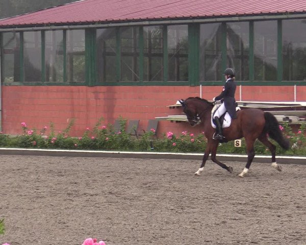 Reitturnier Schwanewede  2022