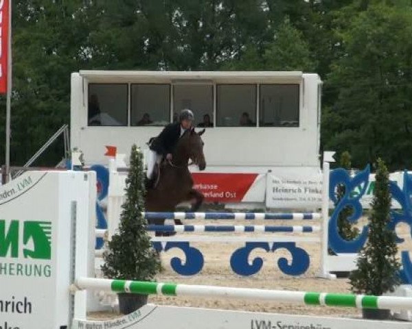 broodmare Nixe 214 (Westphalian, 2008, from Numero Uno)