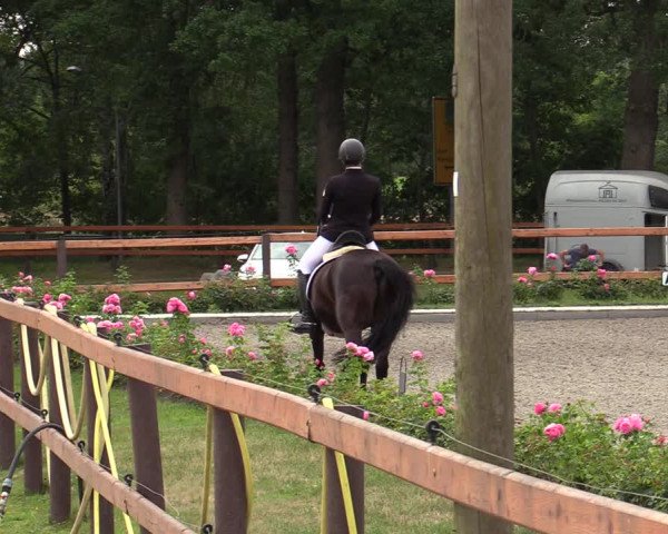 Reitturnier Schwanewede  2022