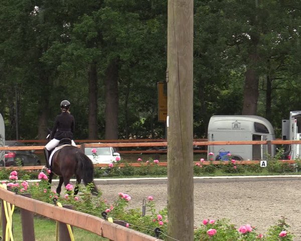 Reitturnier Schwanewede  2022