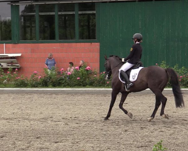 Reitturnier Schwanewede  2022