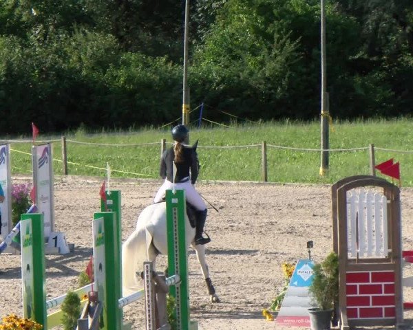 Reitturnier Gossau 2022