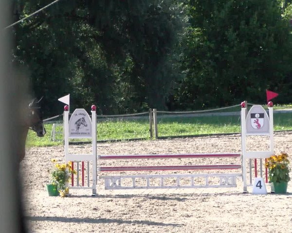 Reitturnier Gossau 2022