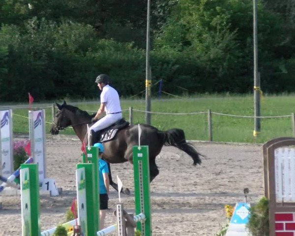 Reitturnier Gossau 2022