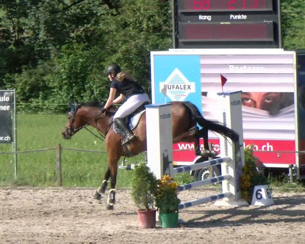 Reitturnier Gossau 2022