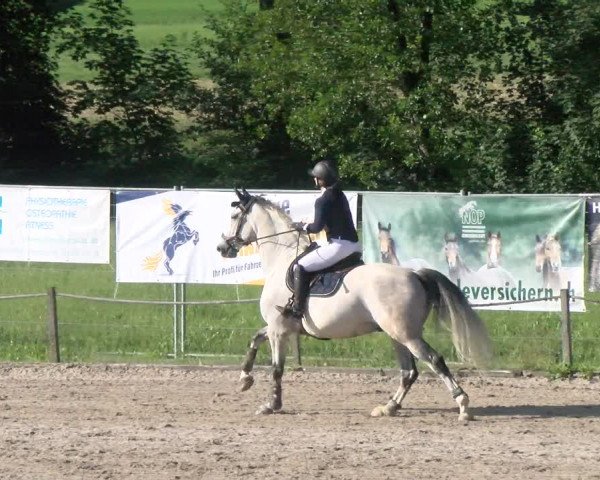 Reitturnier Gossau 2022