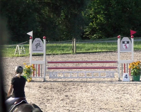 Reitturnier Gossau 2022