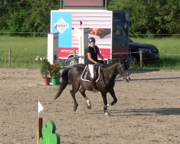 Reitturnier Gossau 2022