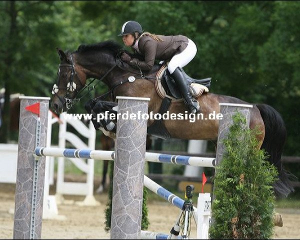 Springpferd Felix (Oldenburger, 1996, von Feinbrand)